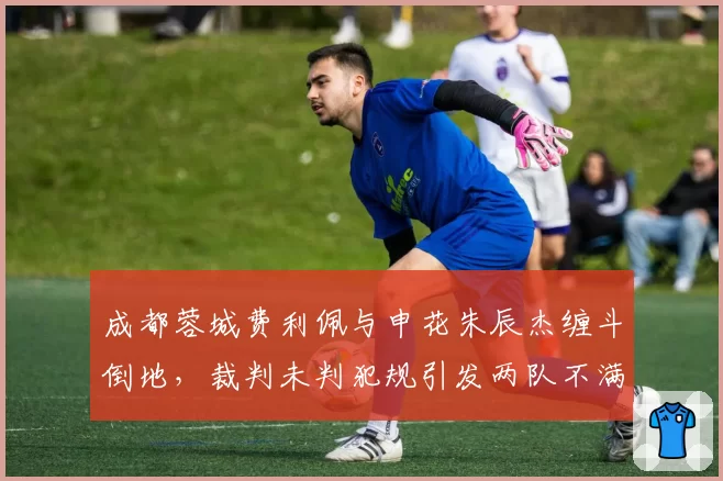 成都蓉城费利佩与申花朱辰杰缠斗倒地,裁判未判犯规引发两队不满?