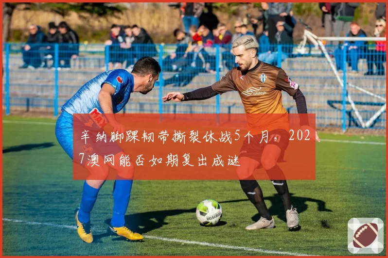 辛纳脚踝韧带撕裂休战5个月,2027澳网能否如期复出成谜