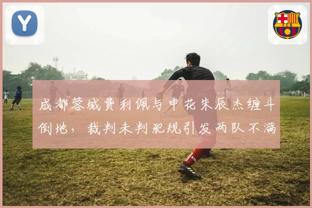 成都蓉城费利佩与申花朱辰杰缠斗倒地，裁判未判犯规引发两队不满？